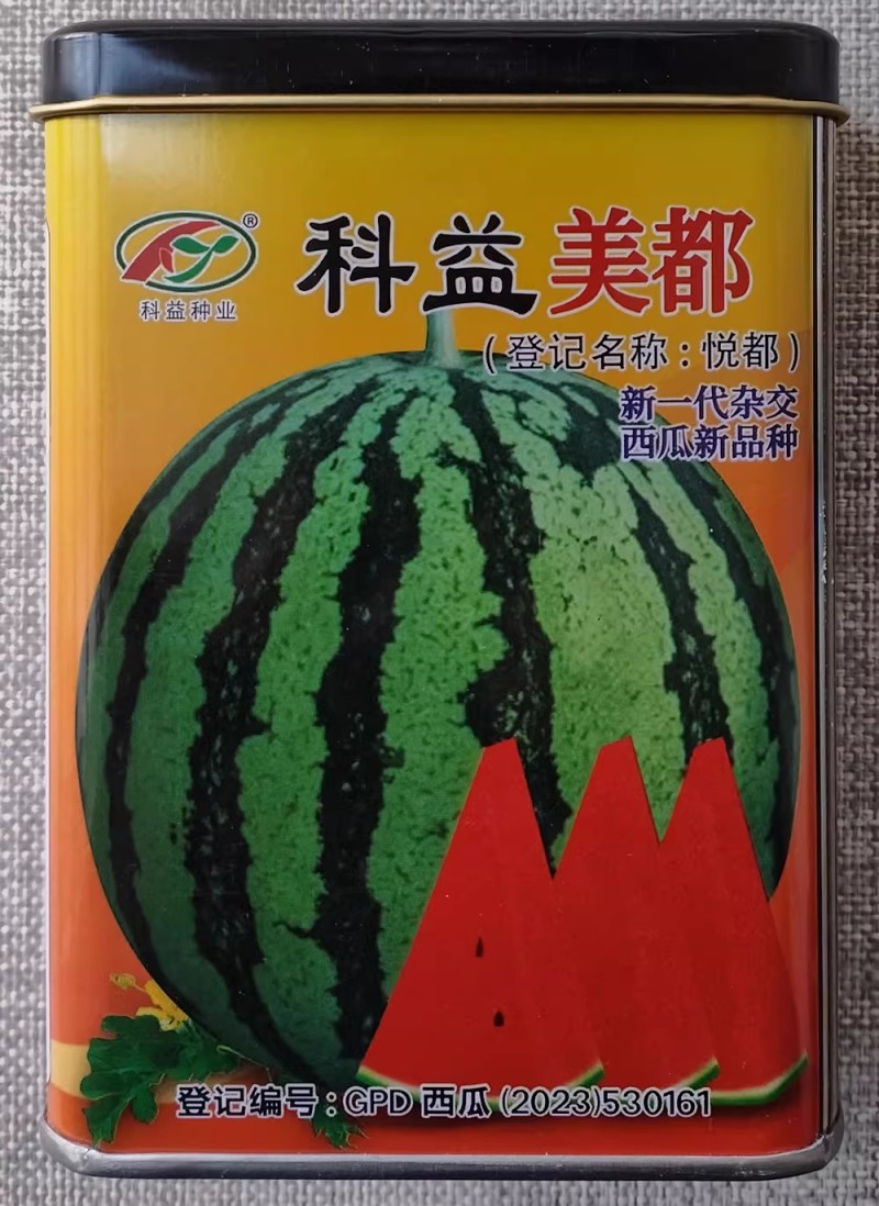 科益美都西瓜种子悦都糖度高耐裂果薄皮耐贮存大棚露地西瓜种