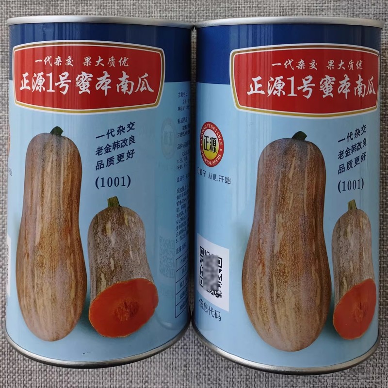 正源1号蜜本南瓜种子老金韩改良南瓜种籽橙黄皮肉厚橙红高产