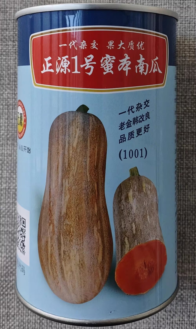 正源1号蜜本南瓜种子老金韩改良南瓜种籽橙黄皮肉厚橙红高产