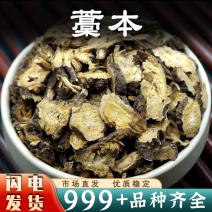 蒿本中药材西芎藁本稿本高本藁本稿本蒿本片安国中药材批发