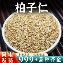 柏子仁中药材正品籽仁侧柏籽白子仁非野生柏子仁茶批发