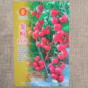 豫艺金粉168大果番茄种子中早熟精品果率高抗病性好
