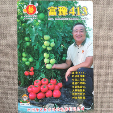 豫艺富豫413大果口感精品番茄种子抗TY高产口感好硬度好