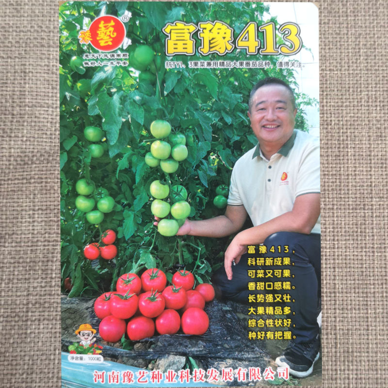 豫艺富豫413大果口感精品番茄种子抗TY高产口感好硬度好