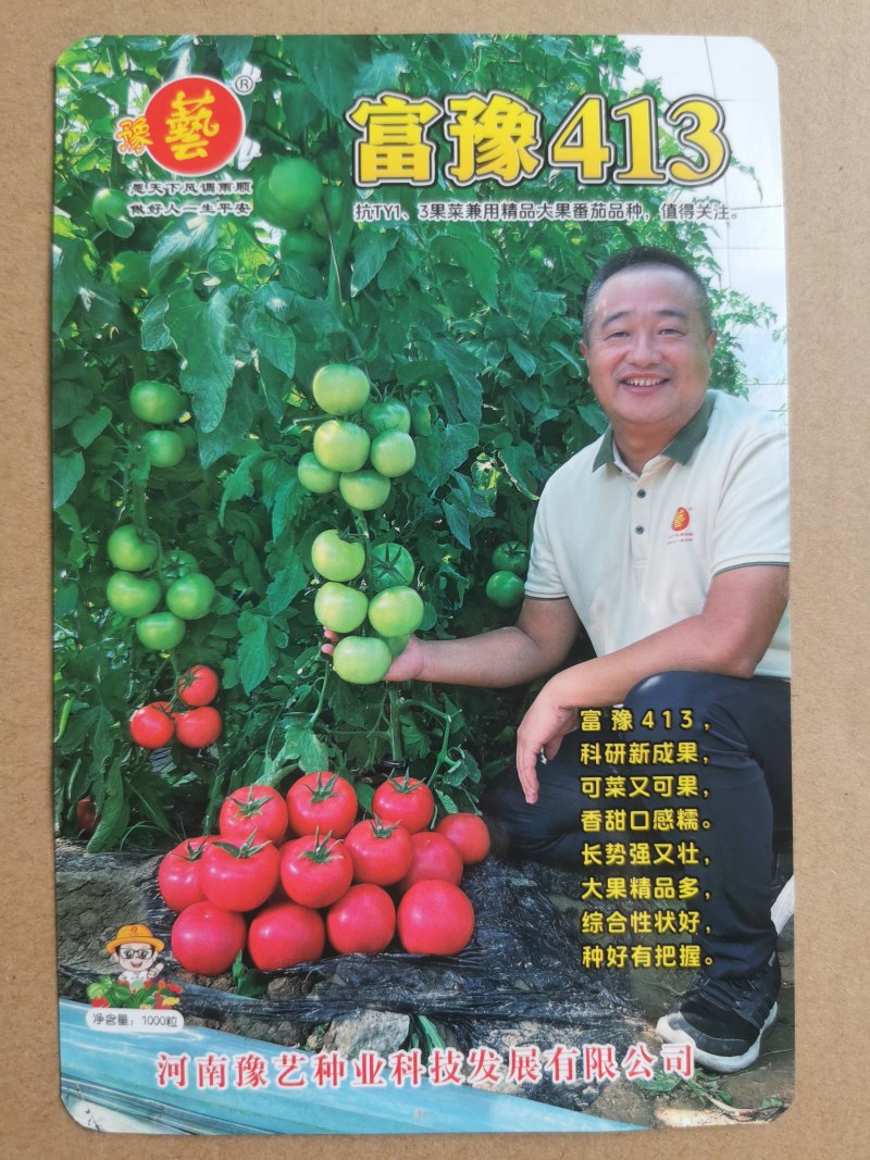 豫艺富豫413大果口感精品番茄种子抗TY高产口感好硬度好
