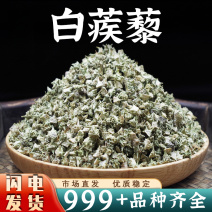 蒺藜中药材刺蒺藜疾藜白蒺藜白疾藜蒺藜草蒺藜子三角刺新货
