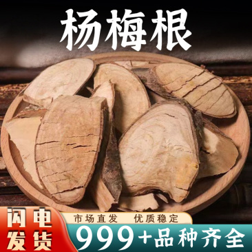 杨梅根中药材别名水杨梅根水毕鸡串鱼木安国中药材批发