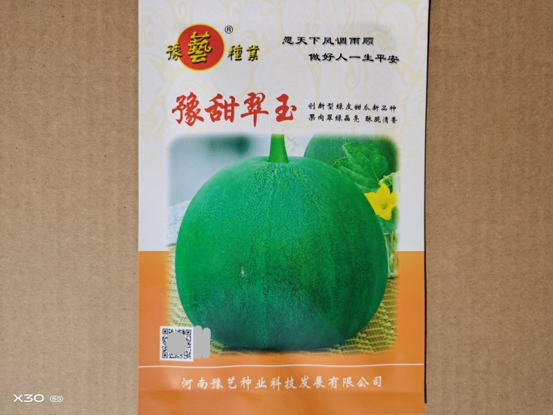 豫艺豫甜翠玉绿宝石甜瓜种子酥脆清香大田基地600粒/袋