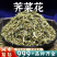 荠菜花中药材荠菜花荠菜干货老荠菜荠菜干安国中药材批发