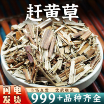 赶黄草中药材无硫新货正品扯根菜山黄鳝水杨柳水泽兰批发