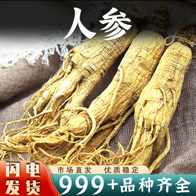 东北吉林长白山人参中药材新鲜整根白参晒参干货泡酒批发