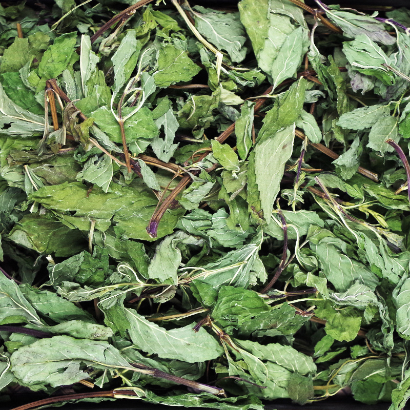 薄荷叶中药材泡茶泡水薄荷叶安国中药材批发