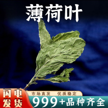 薄荷叶中药材泡茶泡水薄荷叶安国中药材批发