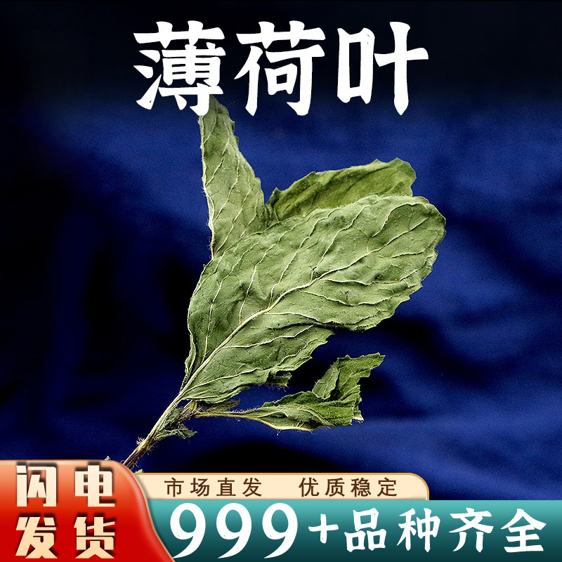 薄荷叶中药材泡茶泡水薄荷叶安国中药材批发
