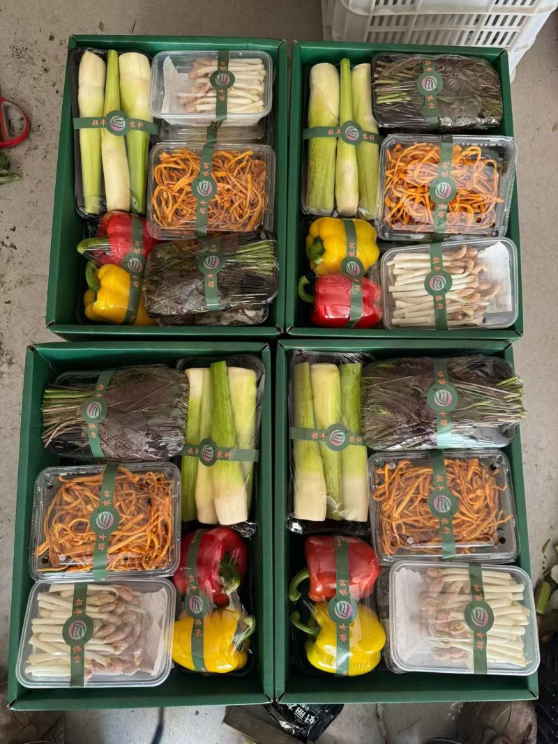 【蔬菜礼包】寿光套菜，精品套菜定制顺丰一件代发