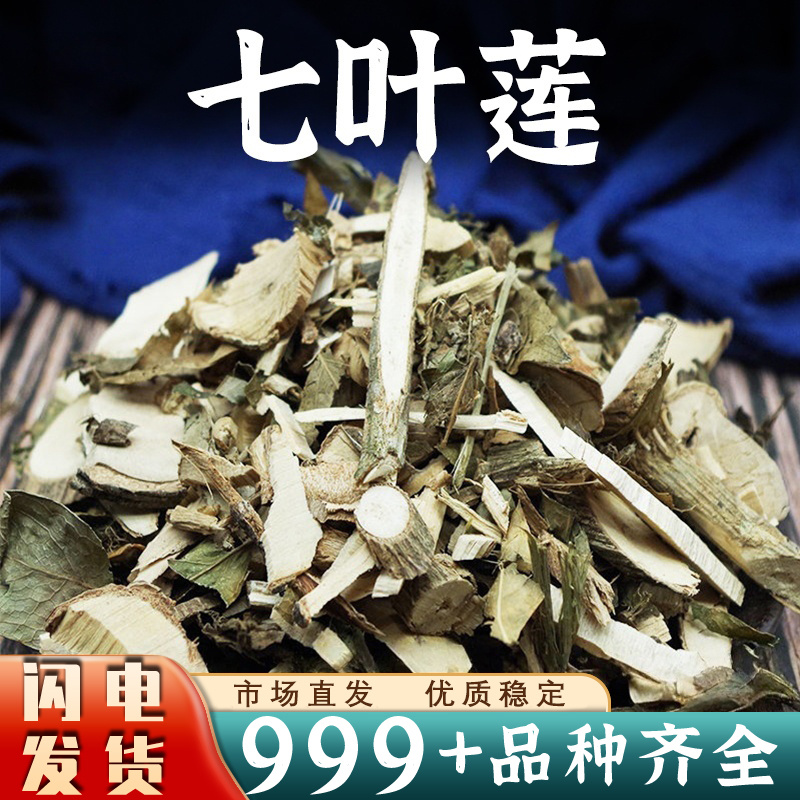 七叶莲中药材七叶藤七加皮汉桃叶狗脚蹄安国中药材批发