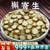 槲寄生中药材寄生解寄生斛寄生冬青北寄生胡寄生新鲜干货批发