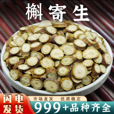 槲寄生中药材寄生解寄生斛寄生冬青北寄生胡寄生新鲜干货批发