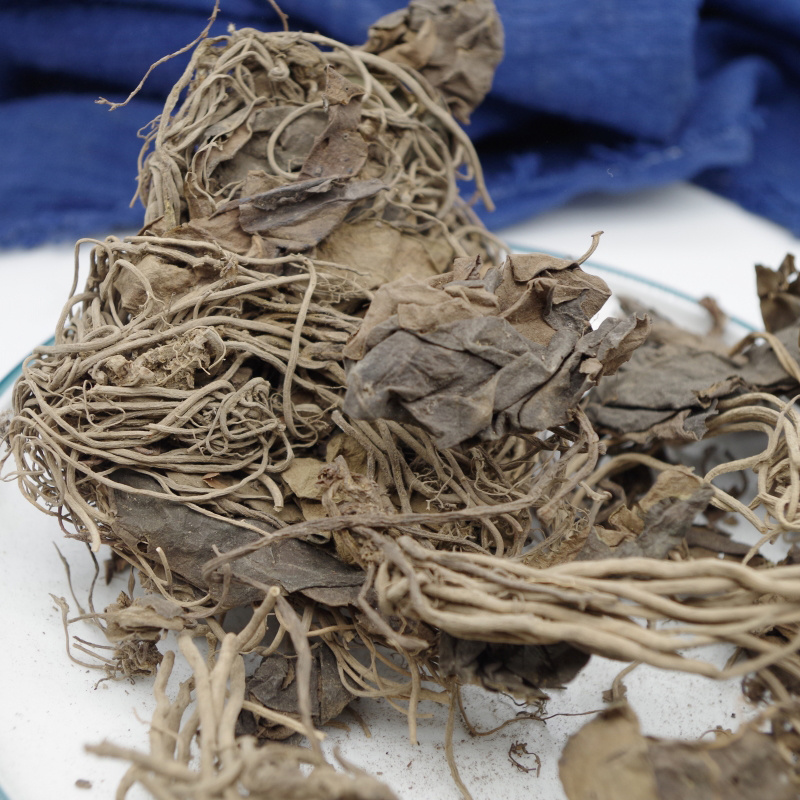 金耳环中药材金耳环别名土细辛一块瓦安国中药材批发