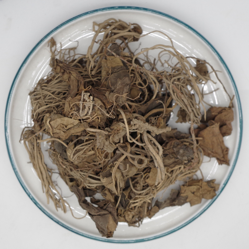 金耳环中药材金耳环别名土细辛一块瓦安国中药材批发