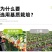 育苗基质栽培基质花卉营养土80L蔬菜瓜果草莓林木通用型
