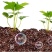 育苗基质栽培基质花卉营养土80L蔬菜瓜果草莓林木通用型