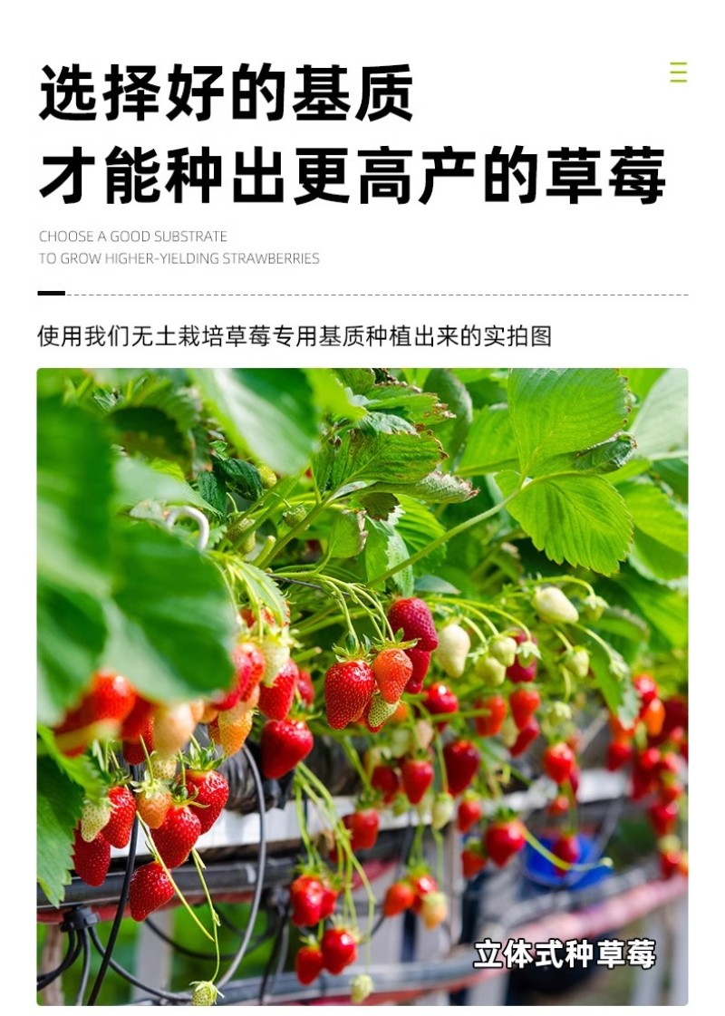 育苗基质栽培基质花卉营养土80L蔬菜瓜果草莓林木通用型