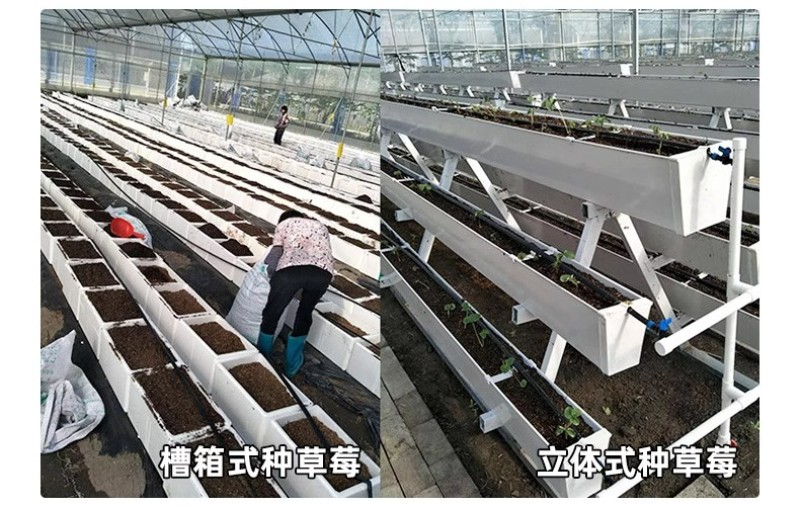 育苗基质栽培基质花卉营养土80L蔬菜瓜果草莓林木通用型