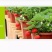 育苗基质栽培基质花卉营养土80L蔬菜瓜果草莓林木通用型