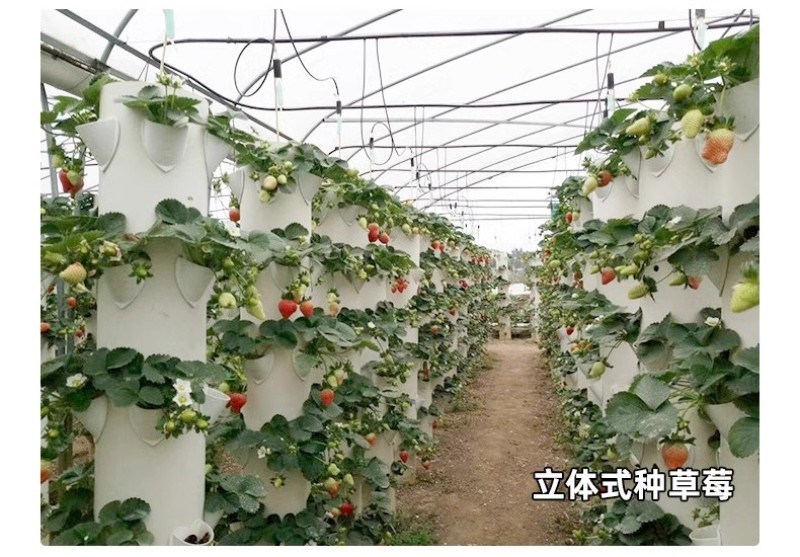育苗基质栽培基质花卉营养土80L蔬菜瓜果草莓林木通用型