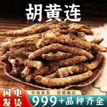 胡黄连中药材正品大根条精选新货干货胡连黑连泡茶泡水批发