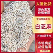 熟磨酱白芝麻，磨酱，食品专用质量保证欢迎咨询