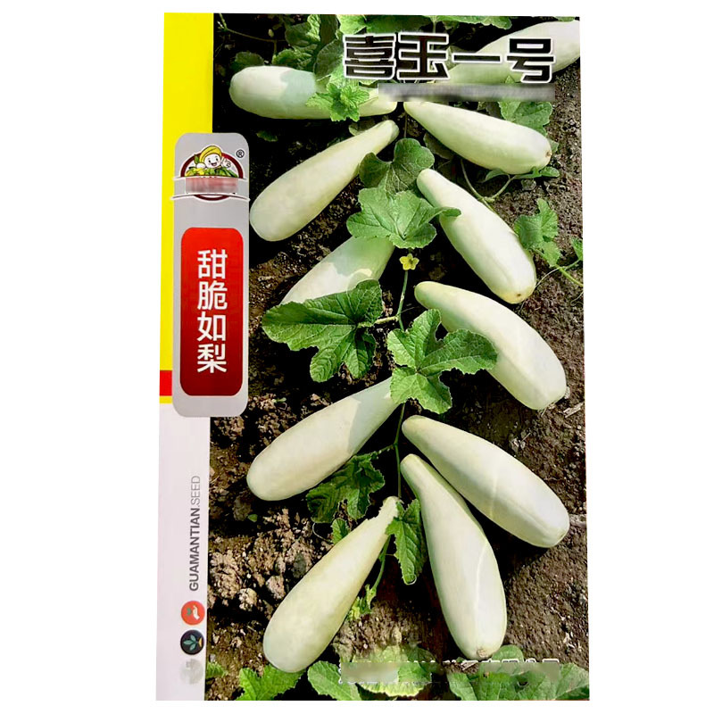 喜玉一号甜瓜种子甜脆如玉羊角酥甜脆可口节瓜多