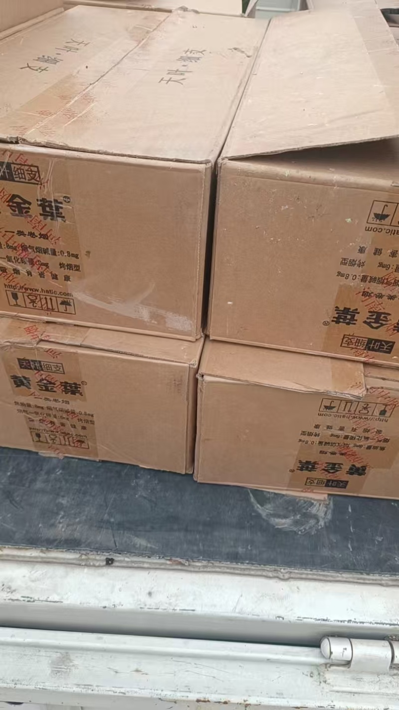博洋九甜瓜苗博洋甜瓜苗易成活价格实惠规格品种齐全欢迎老板联系