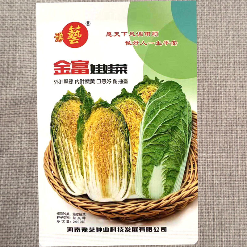金富娃娃菜白菜种子外叶翠绿内叶嫩黄口感好2000粒/袋