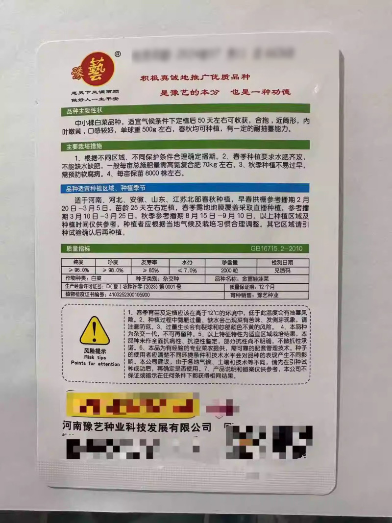 金富娃娃菜白菜种子外叶翠绿内叶嫩黄口感好2000粒/袋