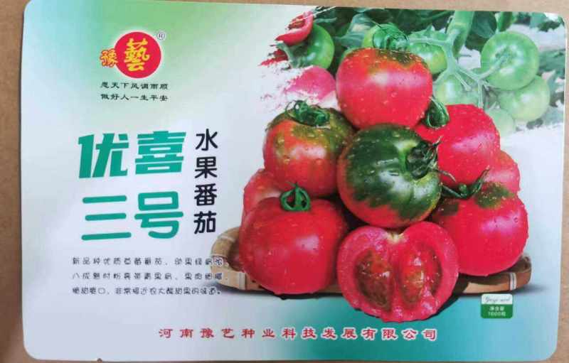 优喜三号水果番茄种子草莓口感西红柿绿肩粉果番茄种子抗病强