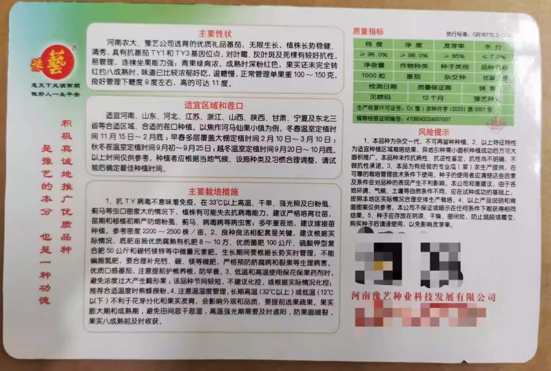优喜三号水果番茄种子草莓口感西红柿绿肩粉果番茄种子抗病强