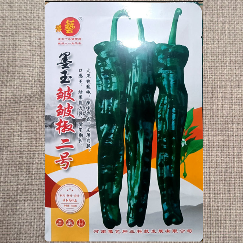墨玉皱皱椒二号辣椒种子大果皱皮泡椒种子深绿色皮薄肉厚