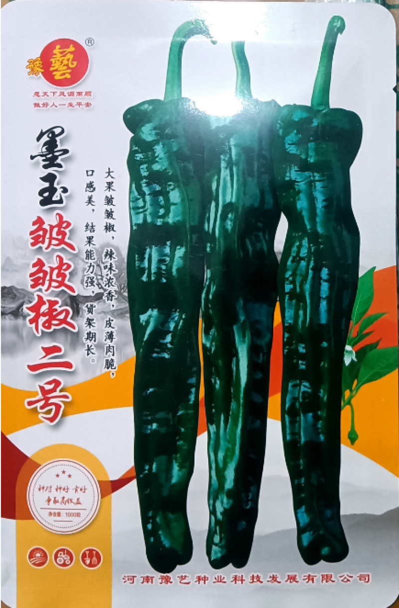 墨玉皱皱椒二号辣椒种子大果皱皮泡椒种子深绿色皮薄肉厚