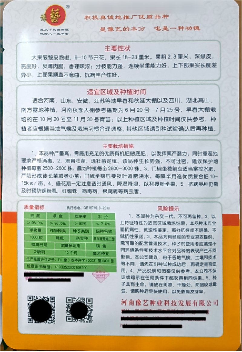 墨玉皱皱椒二号辣椒种子大果皱皮泡椒种子深绿色皮薄肉厚