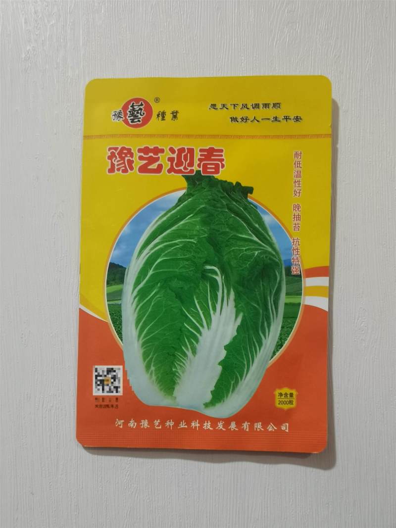 豫艺迎春大白菜种子早熟耐寒抗病耐抽苔黄心炮弹形春播大白菜