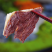 牛肉薄脆酥脆可口多种口味可选工厂直发一件也是批发价