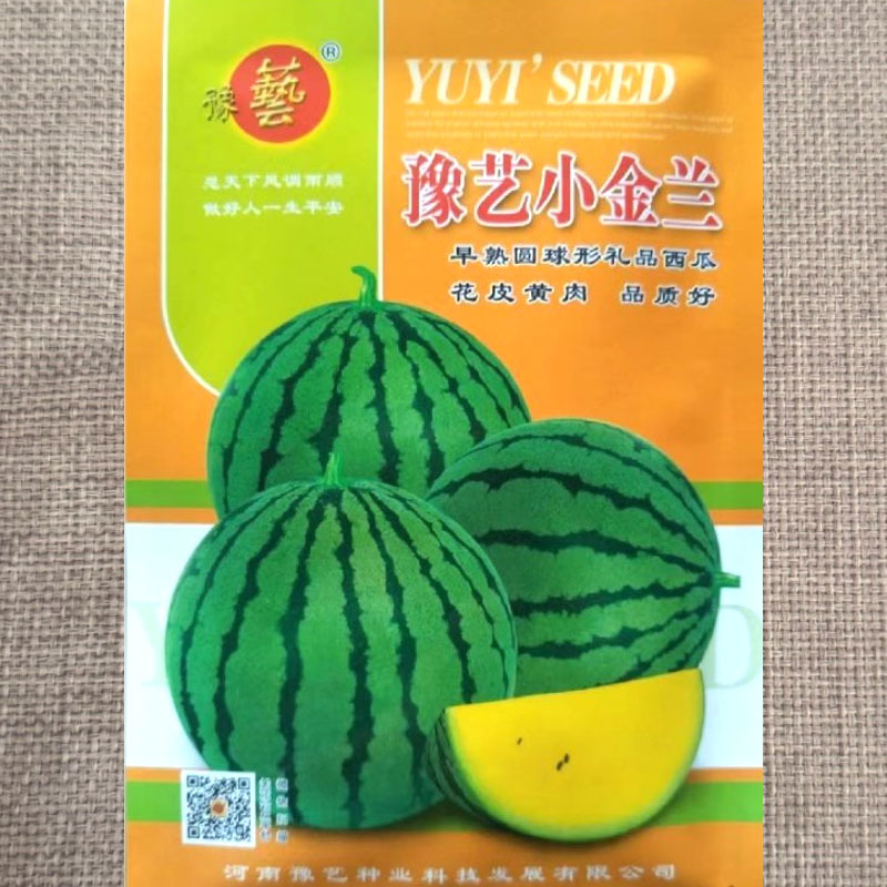 豫艺小金兰黄肉礼品西瓜种子黄瓤皮薄皮薄韧早熟小果正圆西瓜