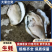 广东官渡生蚝，品质**，清甜脆口，***养殖，欢迎采购