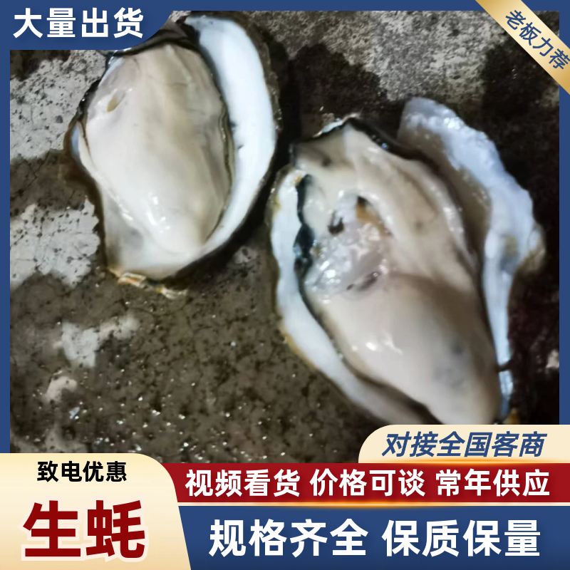 广东官渡生蚝，品质**，清甜脆口，***养殖，欢迎采购