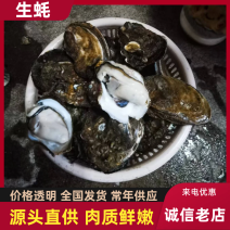 【正宗生蚝】广东湛江生蚝正宗官渡生蚝假一陪十产地直发量大