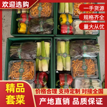 蔬菜礼包寿光套菜，精品套菜定制顺丰一件代发