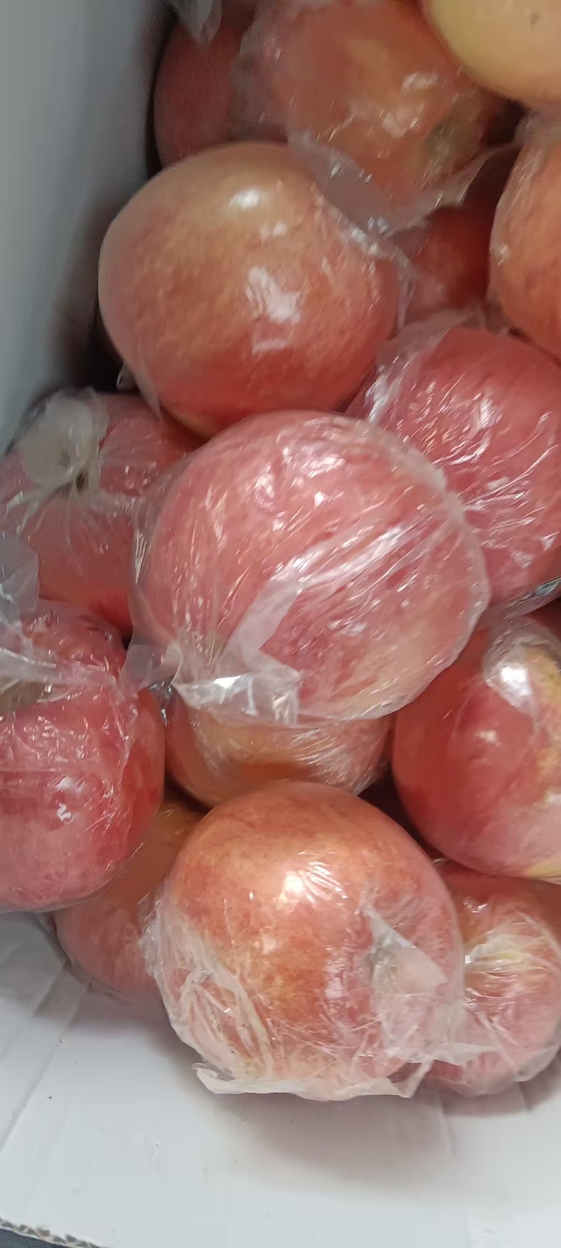 山西运城精品红富士苹果大量供应价格优惠欢迎来电洽谈