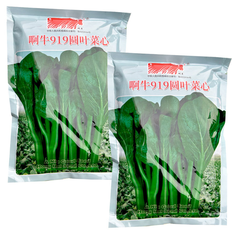 阿牛919圆叶菜心400g圆叶型翠绿色四季种植大田用